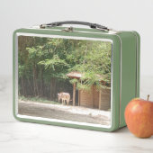 Kleurrijke, Zebra & Bloemen, Metalen Lunch Box (In situ)