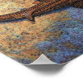 Kleurrijke Zebra haai Poster (Hoek)