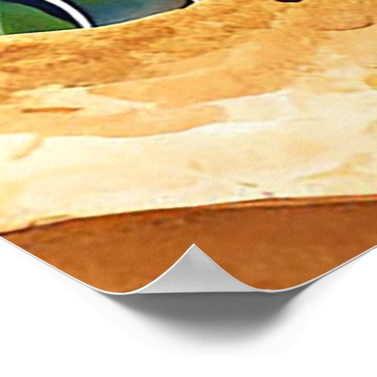 Kleurrijke Zee Turtle Poster (Hoek)