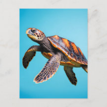 Kleurrijke zeeschildpad zwemt onder water