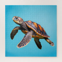 Kleurrijke zeeschildpad zwemt onder water