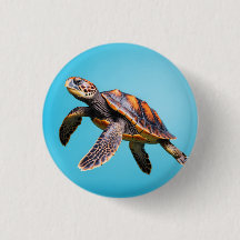 Kleurrijke zeeschildpad zwemt onder water