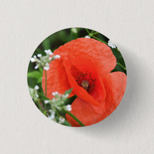 Kleurrijke zomer veld klaproos bloem in groene veg ronde button 3,2 cm
