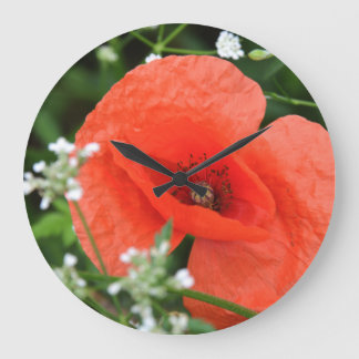 Kleurrijke zomerbloem in groene vegetatie grote klok