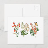 Kleurrijke  zomerbloemen briefkaart (Voorkant / Achterkant)