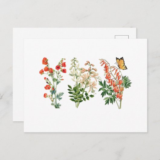 Kleurrijke  zomerbloemen briefkaart (Voorkant / Achterkant)