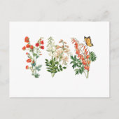 Kleurrijke  zomerbloemen briefkaart (Voorkant)