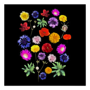 Kleurrijke zomerbloemen op zwarte achtergrond perfect poster