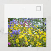 Kleurrijke zomerse wilde bloemen briefkaart (Voorkant / Achterkant)
