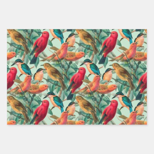 Kleurrijke zongvogels en groen lederen patroon inpakpapier vel (Voorkant 3)