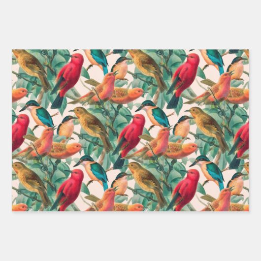 Kleurrijke zongvogels en groen lederen patroon inpakpapier vel (Voorkant 2)