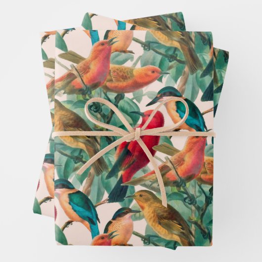 Kleurrijke zongvogels en groen lederen patroon inpakpapier vel (In situ)