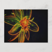 Kleurrijke zonnebloem Abstracte Bloem Kunst Briefkaart (Voorkant)