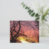 Kleurrijke zonsondergang door haarstomen briefkaart (Staand voorkant)