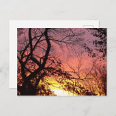 Kleurrijke zonsondergang door haarstomen briefkaart (Voorkant / Achterkant)