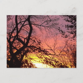 Kleurrijke zonsondergang door haarstomen briefkaart