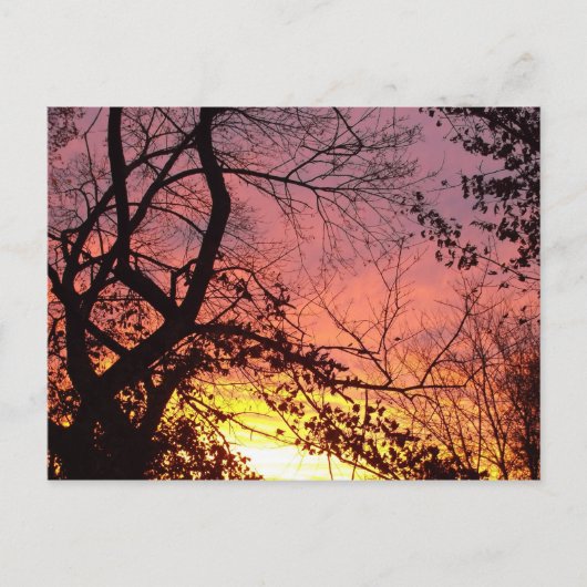 Kleurrijke zonsondergang door haarstomen briefkaart (Voorkant)