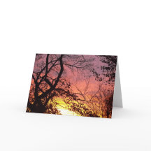 Kleurrijke zonsondergang door haarstomen