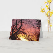 Kleurrijke zonsondergang door haarstomen kaart (Gele Bloem)