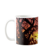 Kleurrijke zonsondergang door haarstomen