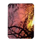 Kleurrijke zonsondergang door haarstomen magneet (Verticaal)