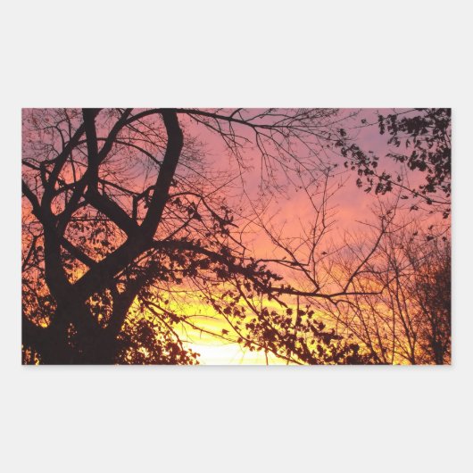 Kleurrijke zonsondergang door haarstomen rechthoekige sticker (Voorkant)