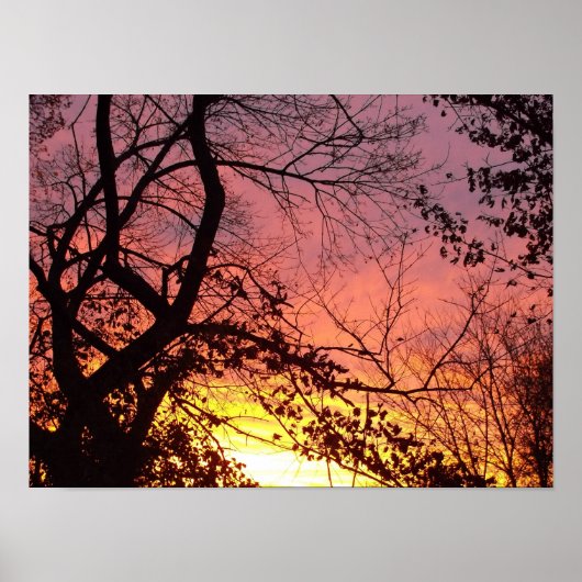 Kleurrijke Zonsondergang Door Kale Bomen Poster (Voorkant)