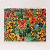 Kleurrijke zwarte ogen Susans in Vermont Legpuzzel (Horizontaal)