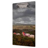 Kleurschapen Klembord (Links)