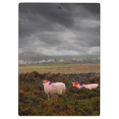 Kleurschapen Klembord (Achterkant)