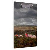 Kleurschapen Klembord (Rechts)