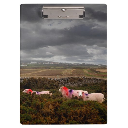 Kleurschapen Klembord (Voorkant)