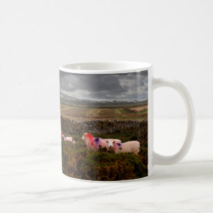 Kleurschapen Koffiemok