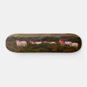 Kleurschapen Persoonlijk Skateboard (Horizontaal)