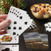 Kleurschapen Pokerkaarten (Insitu)
