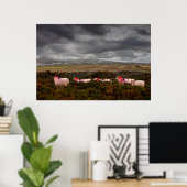 Kleurschapen Poster (Thuiskantoor)