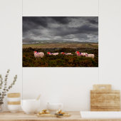 Kleurschapen Poster (Keuken)