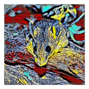 Kleurschop - muis perfect poster