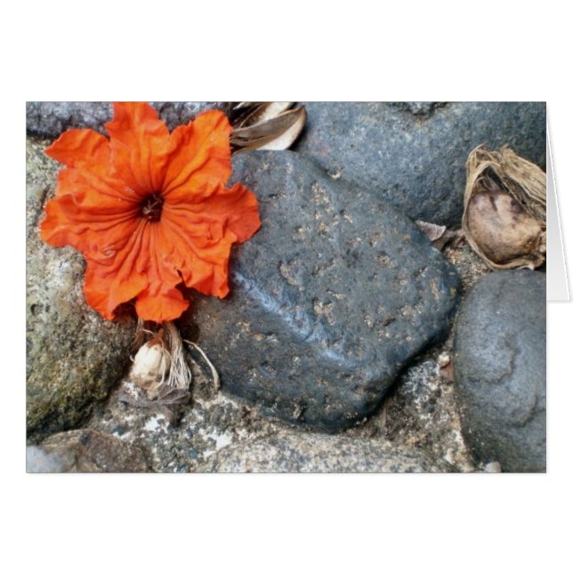 kleurspatten (Voorkant Horizontaal)