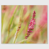 kleurstof cadeaupapier (Vlak)