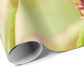 kleurstof cadeaupapier (Rol Hoek)