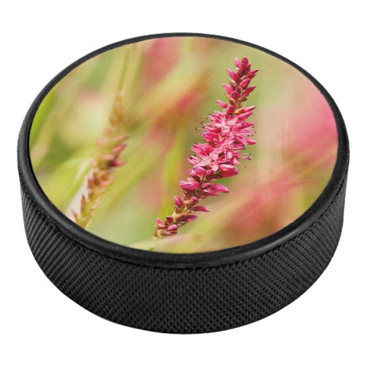 kleurstof hockey puck (3/4)
