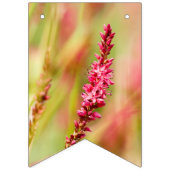 kleurstof vlaggetjes (Tweede vlag)