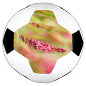kleurstof voetbal (Gedraaid)