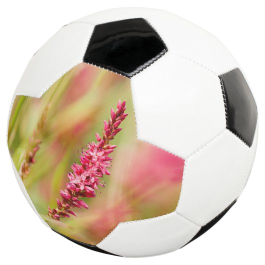 kleurstof voetbal (Drie kwart)