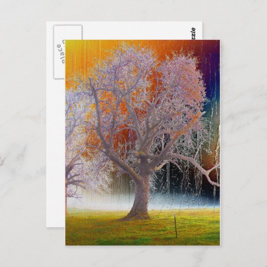 Kleurstructuur Briefkaart (Voorkant / Achterkant)