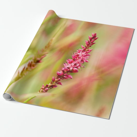 kleurstruik cadeaupapier (Uitgerold)