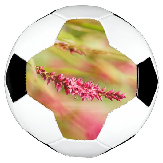 kleurstruik voetbal (Gedraaid)