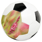 kleurstruik voetbal (Drie kwart)