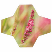 kleurstruik voetbal (Enkel)